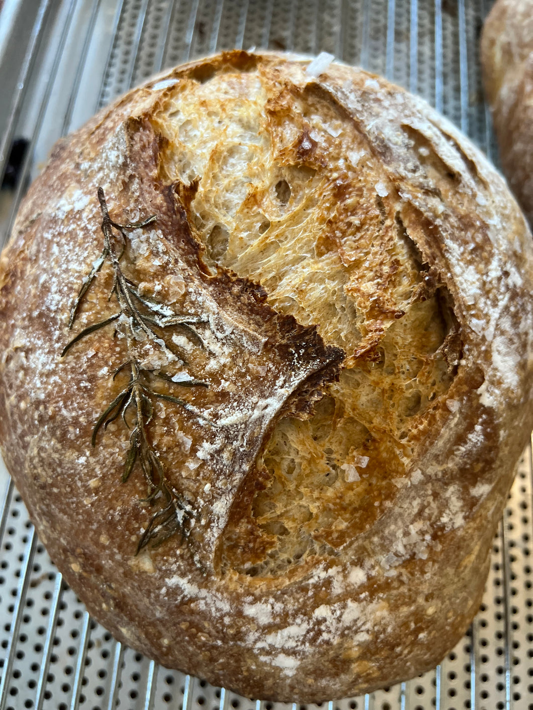 THANKSGIVING PREORDER Rosemary Salt Sourdough